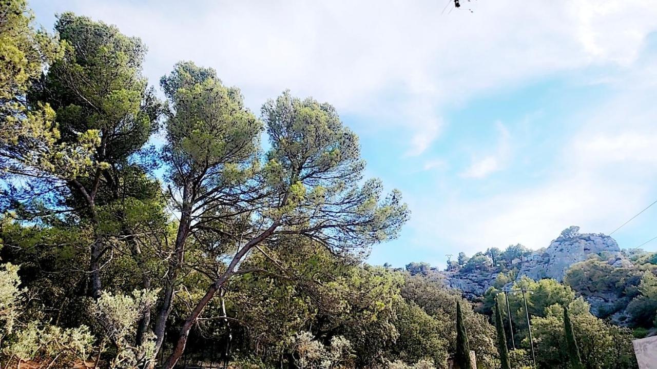 Villa Maison Au Coeur De La Colline